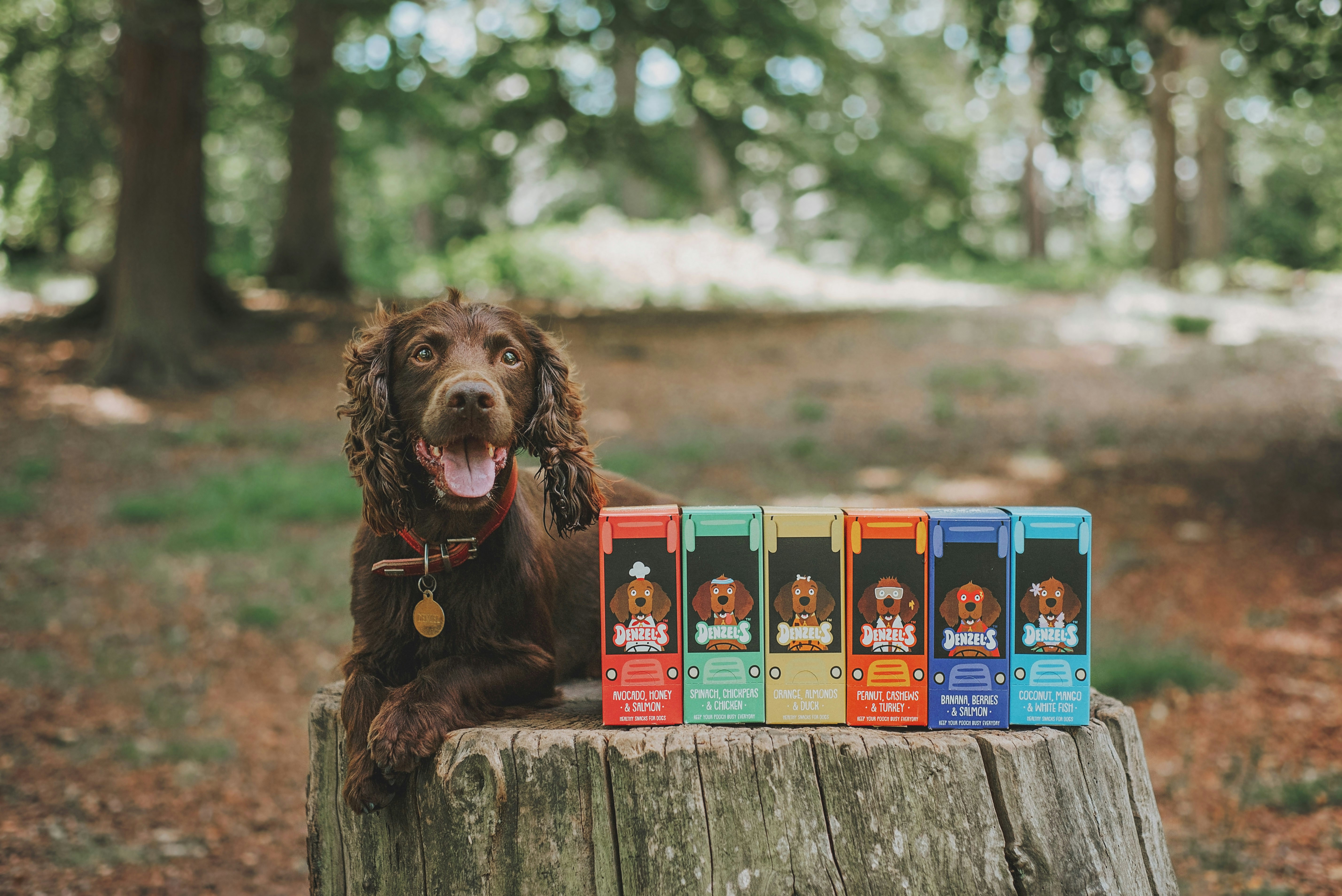 Natural Dog Treat Variety Pack